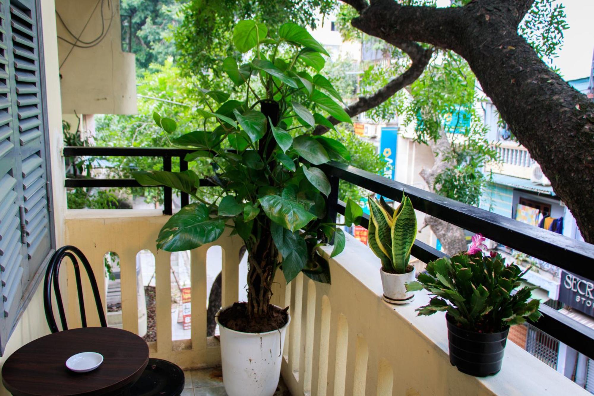 Hanoi Family Homestay Экстерьер фото