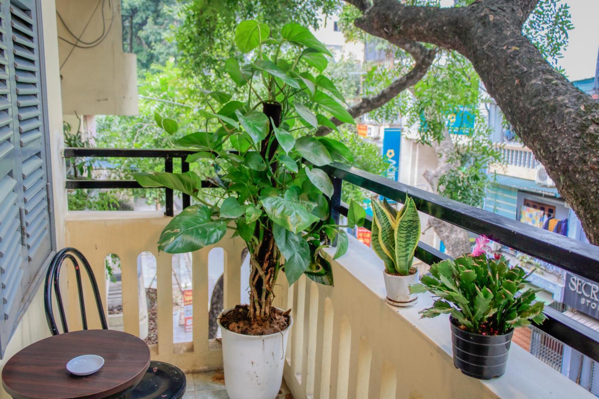 Hanoi Family Homestay Экстерьер фото